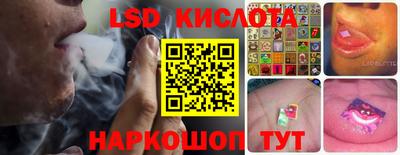 прущие грибы Железноводск