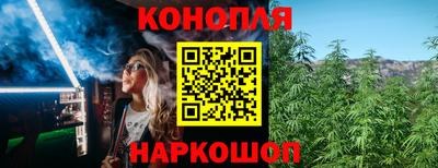 Альфа ПВП Долгопрудный