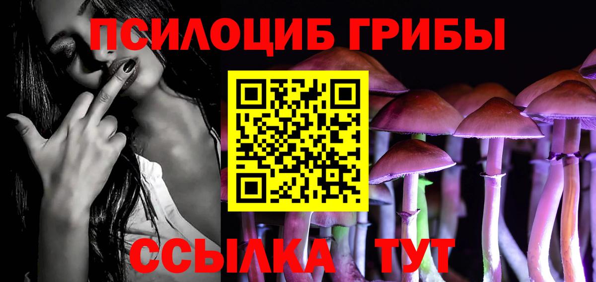 Галлюциногенные грибы Cubensis  Вход с VPN  Рубцовск 
