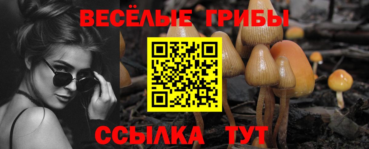 Псилоцибиновые грибы мухоморы Рубцовск